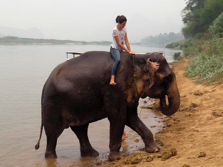 LAOS 04 LUANG PRABANG (41)